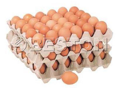 paper-egg-trays