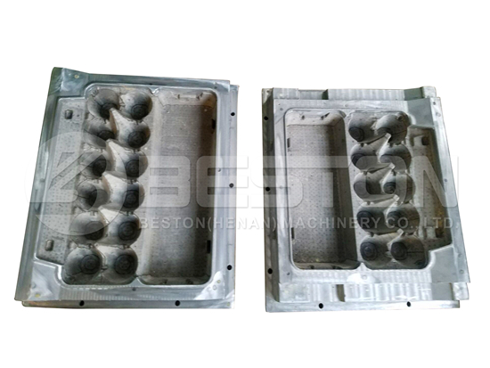 Egg Carton Mold